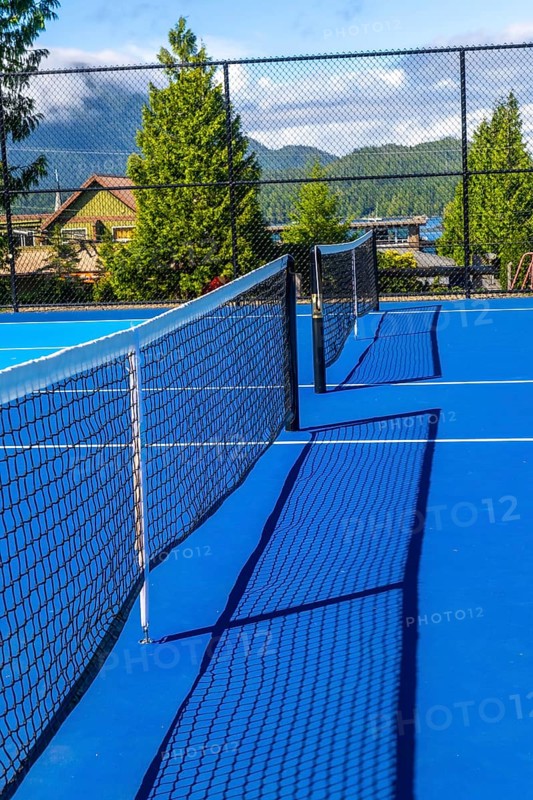 Sunlight illuminates a vibrant blue pickleball court, the net casting a distinct shadow, hinting at a game waiting to begin amidst a serene outdoor setting