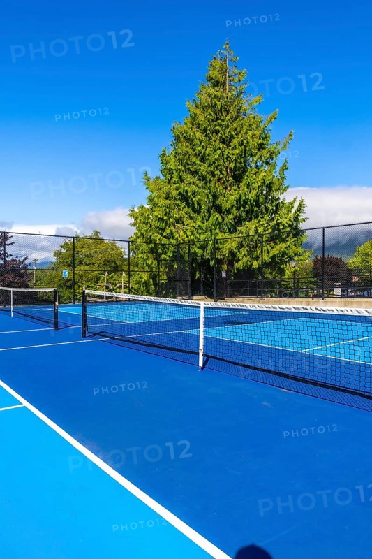 Pickleball court with blue surface and white lines, net, and metal fence basking in sunlight on a beautiful day with clear blue sky, green trees, and clouds