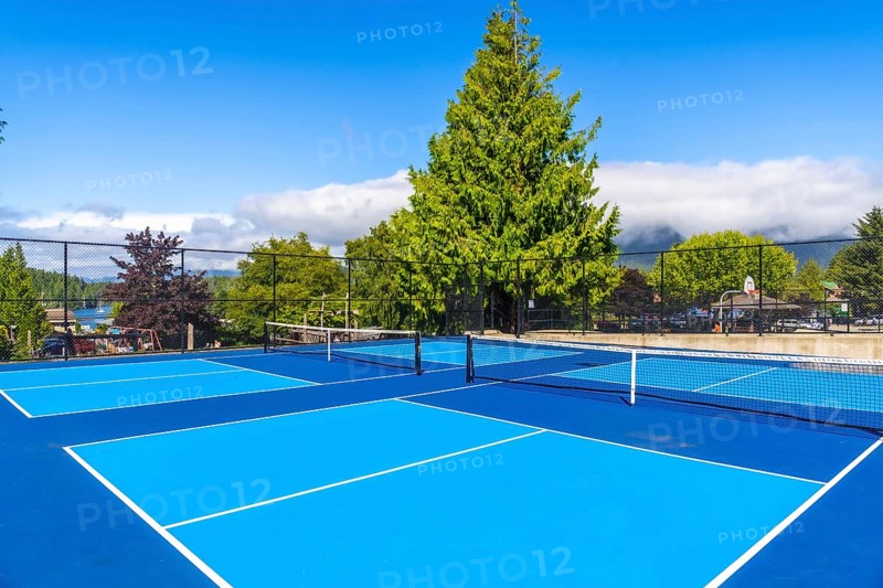 Vibrant blue pickleball courts basking in sunlight, inviting friendly matches on a beautiful summer day, surrounded by trees and a distant mountain range
