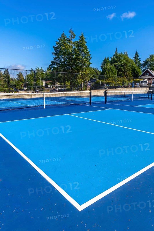 Empty outdoor pickleball courts feature a striking blue playing surface, white boundary lines, and nets, set against a backdrop of green trees and a clear blue sky