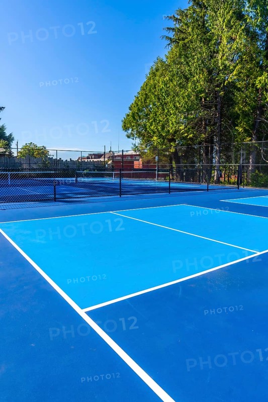 White lines marking vibrant blue pickleball courts create an inviting scene under a sunny sky, surrounded by green trees, perfect for outdoor recreation