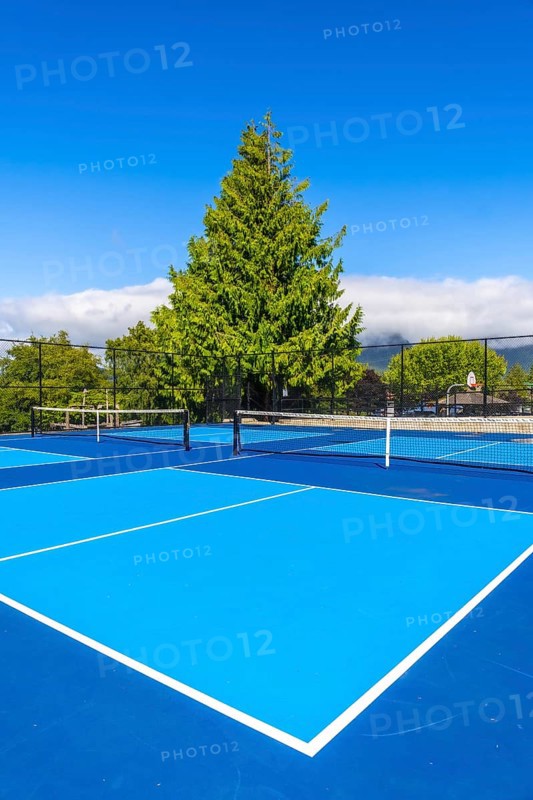 Two vibrant blue pickleball courts are bathed in sunlight on a beautiful day, complete with nets, white lines, and a backdrop of lush green trees against a clear blue sky