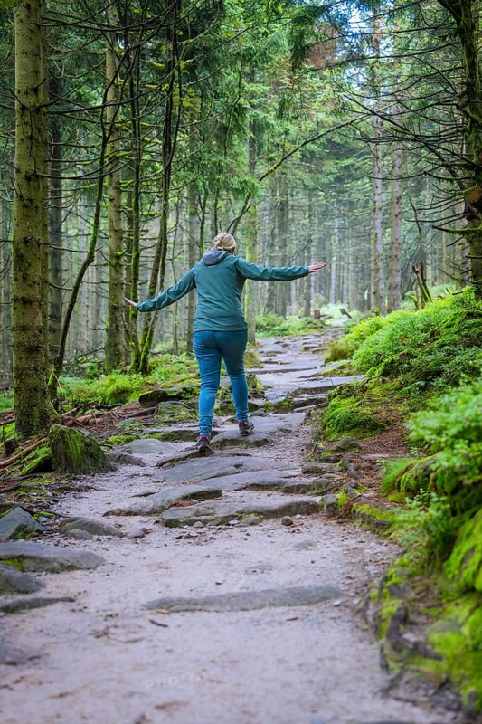 A hiker walks up a stony path surrounded by a green forest, Mummelsee, Seebach, Ortenau district, Black Forest, Germany