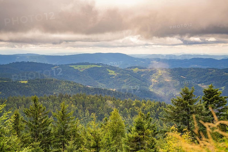 Expansive view of forested mountains under a cloud cover with a misty touch, Mummelsee, Seebach, Ortenau district, Black Forest, Germany