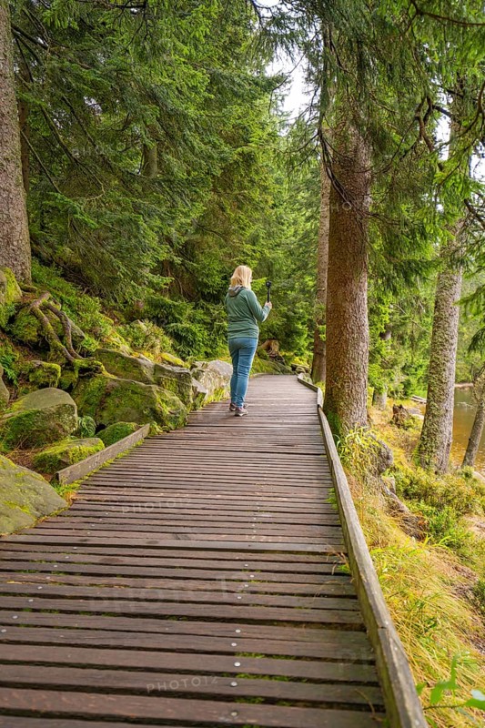A person on a wooden path in the forest, surrounded by tall, green trees, Mummelsee, Seebach, Ortenau district, Black Forest, Germany