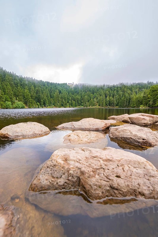 Rock formations in the lake with forest background and cloudy sky, Mummelsee, Seebach, Ortenau District, Black Forest, Germany