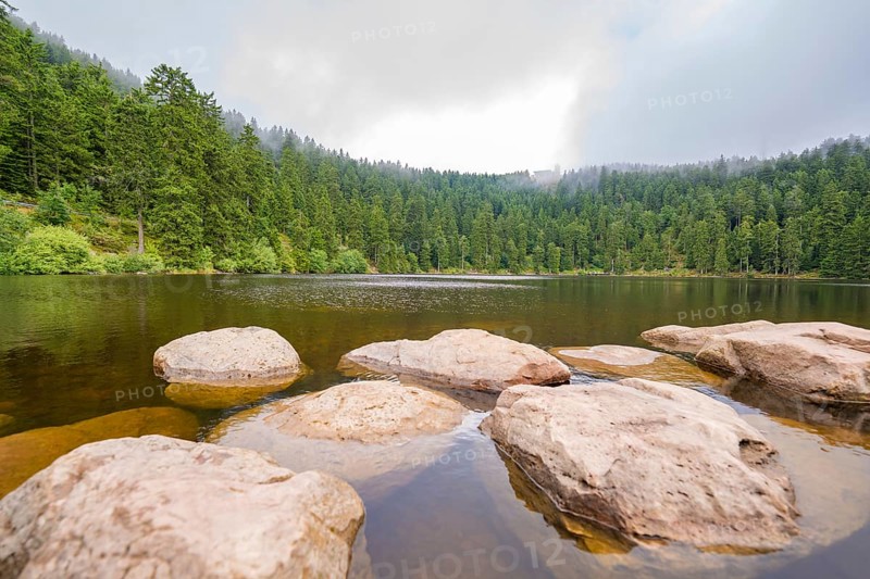 Rocks in the clear water of a lake, surrounded by dense forest and slightly cloudy sky, Mummelsee, Seebach, Ortenau district, Black Forest, Germany