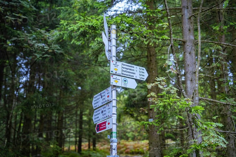A detailed signpost shows various directions in the middle of a forest, Mummelsee, Seebach, Ortenau district, Black Forest, Germany