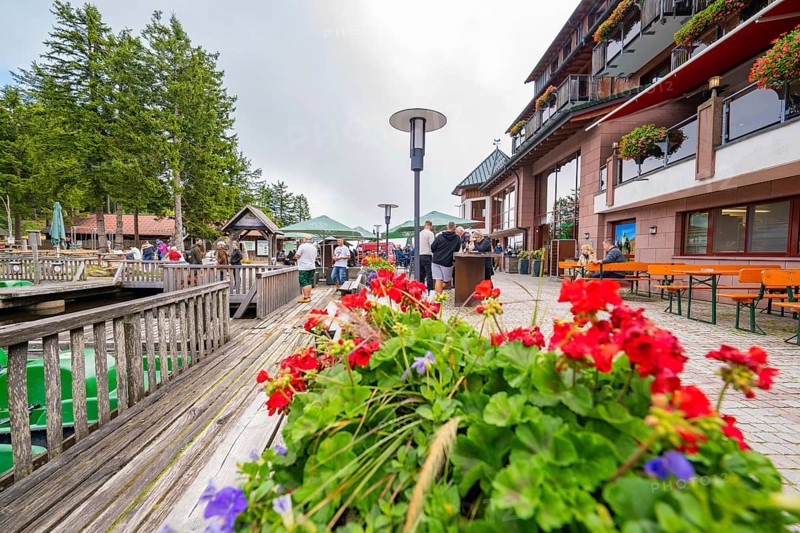Bright flowers in the foreground of a terrace with people in a tourist area, Mummelsee, Seebach, Ortenau district, Black Forest, Germany