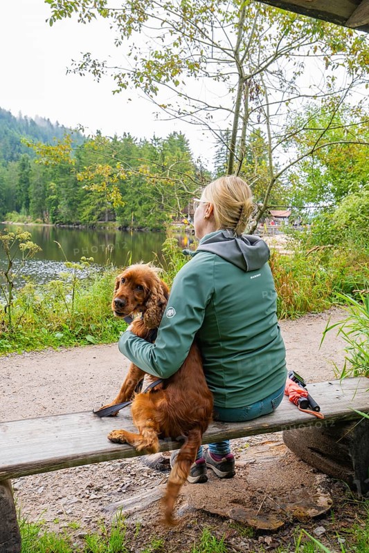 Woman sitting with her dog on a bench by the lake in nature, Mummelsee, Seebach, Ortenau district, Black Forest, Germany
