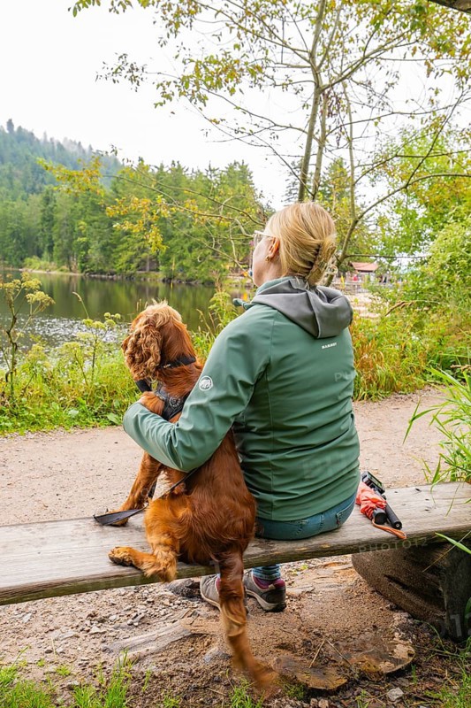Woman with dog on a bench at the lake, surrounded by autumnal forest, Mummelsee, Seebach, Ortenau District, Black Forest, Germany