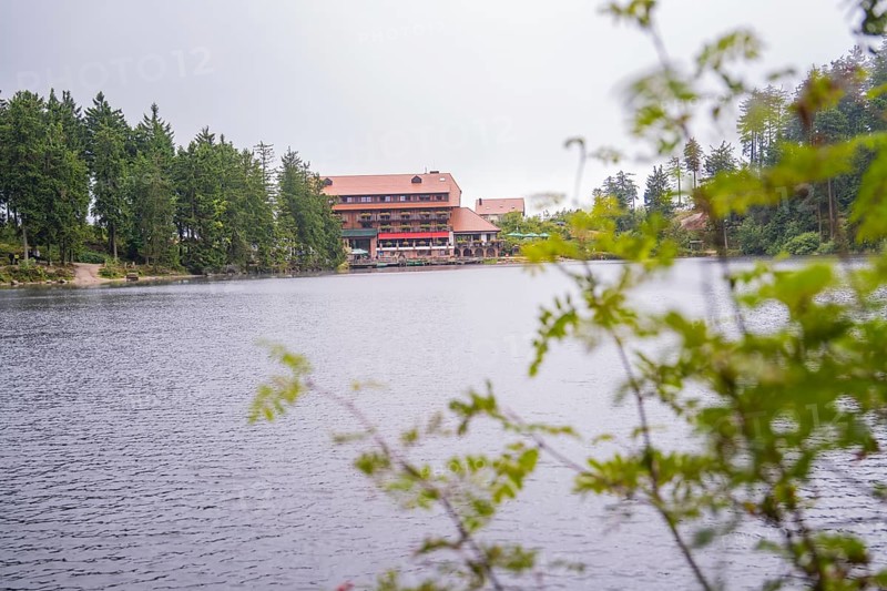 A building by the lake, slightly obscured by plants in the foreground, Mummelsee, Seebach, Ortenau district, Black Forest, Germany