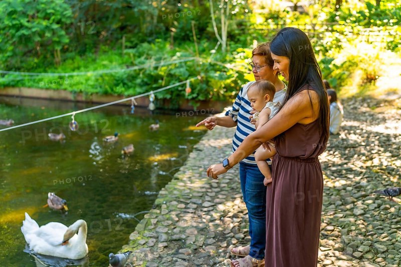 Grandmother, mother and granddaughter spending time together outdoors, feeding ducks and swans in a pond, surrounded by lush greenery
