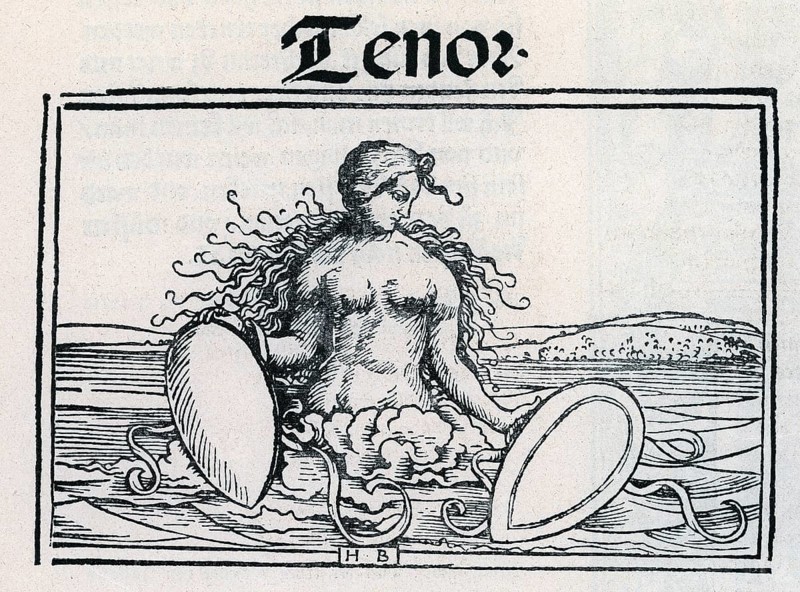 Tenor, the four vocal parts from Öglin's songbook 1512, from Könnecke Bilderatlas zur Geschichte der Deutschen Litteratur Marburg, 1887