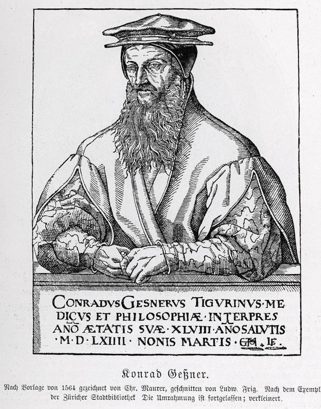 Konrad Geßner (1516-1565) from Könnecke Bilderatlas zur Geschichte der Deutschen Litteratur Marburg, 1887