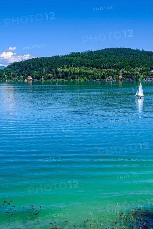 On Lake Lake Wörth, south shore, near Sekirn, Carinthia, Austria