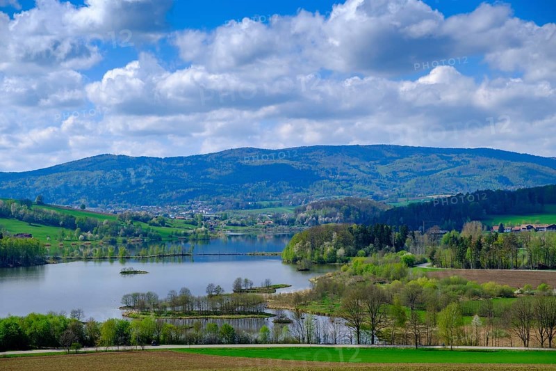 Drachensee, Furth im Wald, Bavarian Forest, Upper Palatinate, Bavaria, Germany