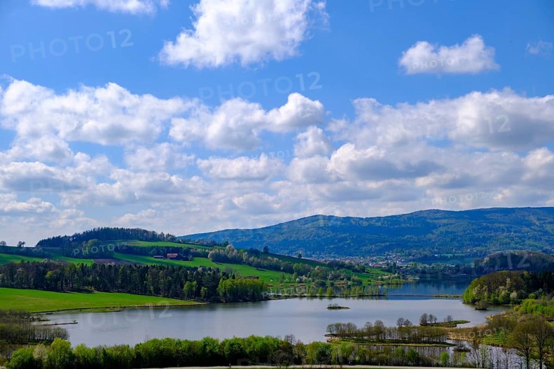 Drachensee, Furth im Wald, Bavarian Forest, Upper Palatinate, Bavaria, Germany
