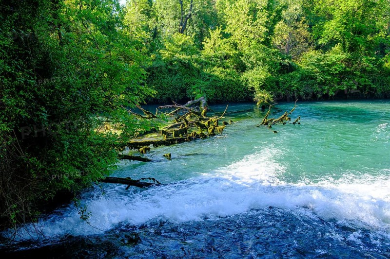 Bocche del Timavo, karst spring, San Giovanni di Duino, near Duino, Friuli-Venezia Giulia, Italy
