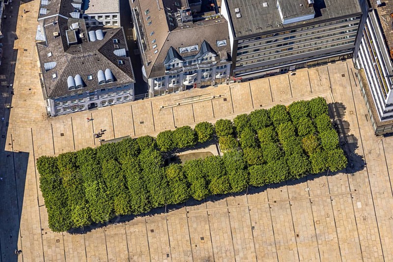 Aerial view, tree avenue at the town hall and town hall square, city, Lüdenscheid city, Lüdenscheid, Sauerland, North Rhine-Westphalia, Germany, tree avenue, tree group, tree row, tree series, DE, Europe, green trees, aerial view, aerial photography, aerial photography, Märkischer Kreis, overview, bird's eye view, birds-eyes view, green planting, overview