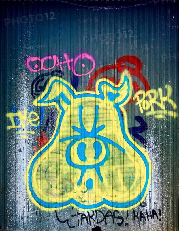 Graffiti as a pig's head on a shop gate in the old town centre of Girona, Cataluña, Gerona, Catalonia, Spain, Girona, Cataluña, Europe, aerial photo, birds-eyes view, aerial photography, aerial photography, overview, bird's eye view