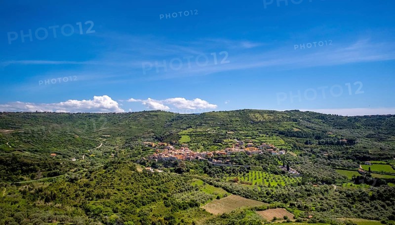 Sardinia, Village view and houses surrounded by meadows and fields, blue sky with clouds, Modolo, Beluga (sturgeon), Province of Oristano, Italy, Architecture, Exterior view, Farm, Trees, Village, Relaxation, Fields, Peace, Green, Sky, Horizon, Houses, idyll, idyllic, country, landscape, nature, local view, panorama, settlement, sightseeing, summer, scenic, daylight, tourism, environment, holiday, vastness, meadows, residential area, residential houses, clouds, blue sky, rural, picturesque, mediterranean, quiet, vegetation
