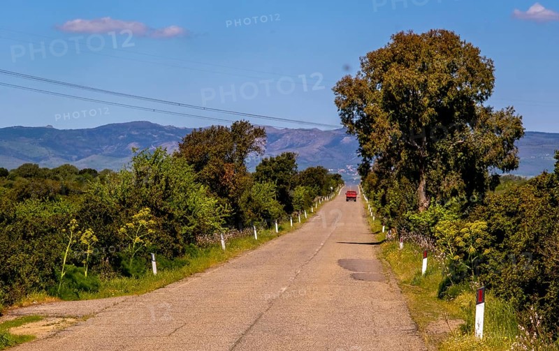 Sardinia, Red truck on straight road to the horizon, mountains mountain range in the background, Ghilarza, Europe, province Oristano, Italy, asphalt, view, mountains, mountain range, roadway, vehicle, distance, long distance traffic, mountains, sky, background, horizon, truck, landscape, country road, mobility, nature, outdoor, travel, travelling, sightseeing, summer, road, street, street scene, scene, day, tourism, transport, means of transport, environment, traffic, straight, red