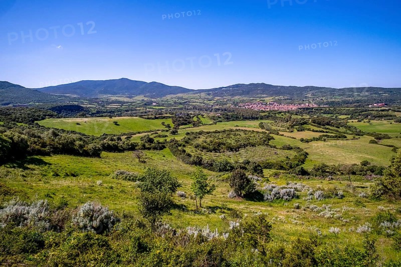 Sardinia, view of village and wide landscape meadows and fields, with mountains in the background, blue sky, Fordongianus, Europe, Province of Oristano, Italy, view, mountainous, trees, recreation, fields, crops, distant view, mountains, background, horizon, hills, idyll, landscape, agriculture, nature, local view, panorama, travel, sightseeing, day, tourism, environment, weather, meadows, countryside, peaceful, grassy, clear, rural, picturesque, mediterranean, rural, summerly, sunny, vegetation