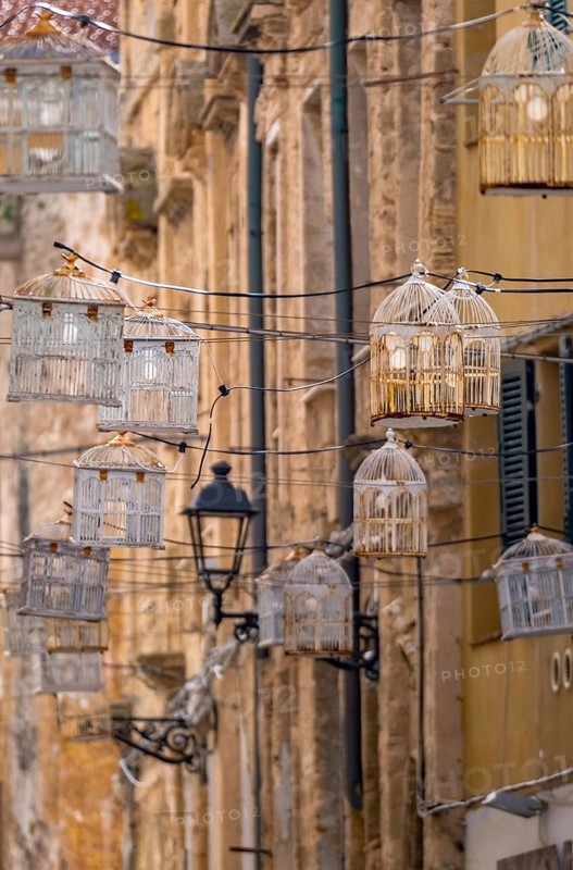 Sardinia, birdcage with light bulbs on power lines between houses above the alleyway, old town, Alghero, Beluga (sturgeon), Italy, evening, architecture, atmosphere, outdoor, lighting, twilight, furnishing, alley, light bulbs, houses, cable, light sources, sightseeing, city, mood, alleyway, power lines, scene, tourism, urban, birdcage, old-fashioned, decoration, electric cable, European, historical, Italian, creative, cultural, artistic, Mediterranean, traditional