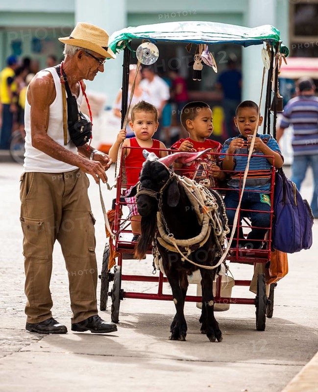 &lt, children's amusement, children's carriage pulled by a goat, streetlife in the city centre of Santa Clara at the Parque de Santa Clara, Santa Clara, Cuba, Villa Clara