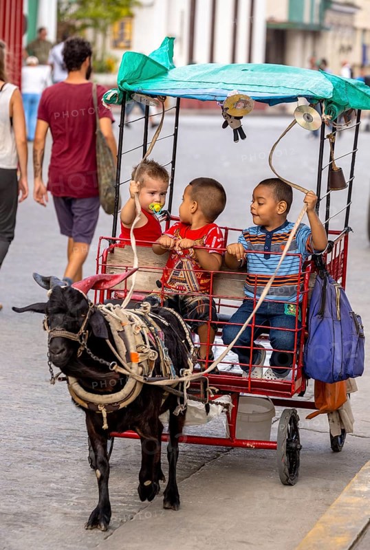 &lt, children's amusement, children's carriage pulled by a goat, streetlife in the city centre of Santa Clara at the Parque de Santa Clara, Santa Clara, Cuba, Villa Clara