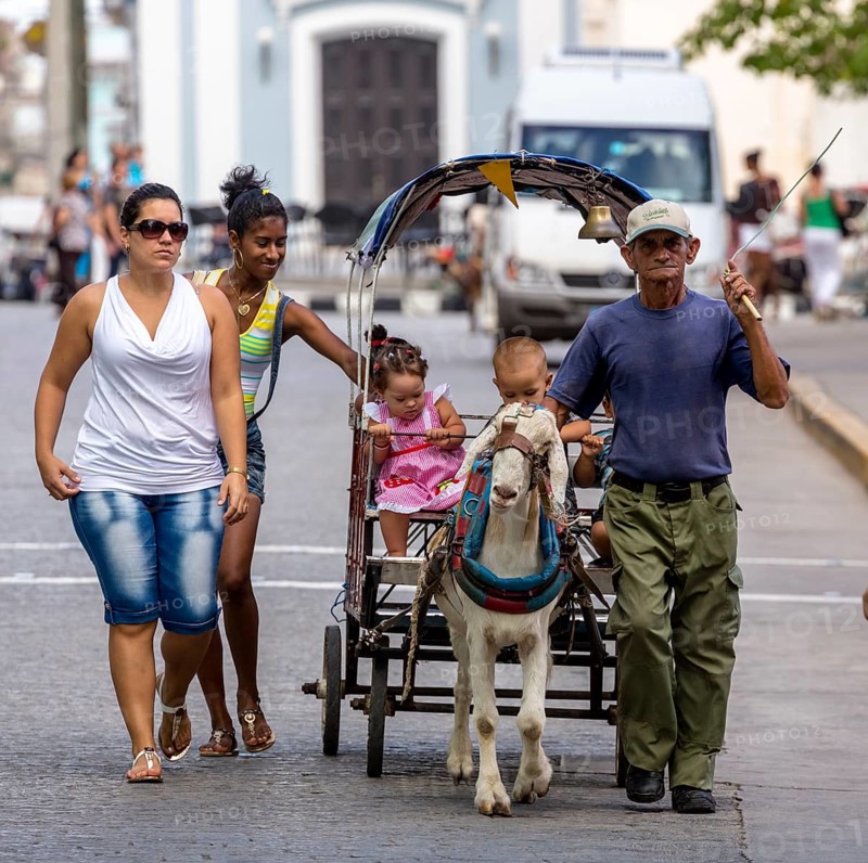 &lt, children's amusement, children's carriage pulled by a goat, streetlife in the city centre of Santa Clara at the Parque de Santa Clara, Santa Clara, Cuba, Villa Clara