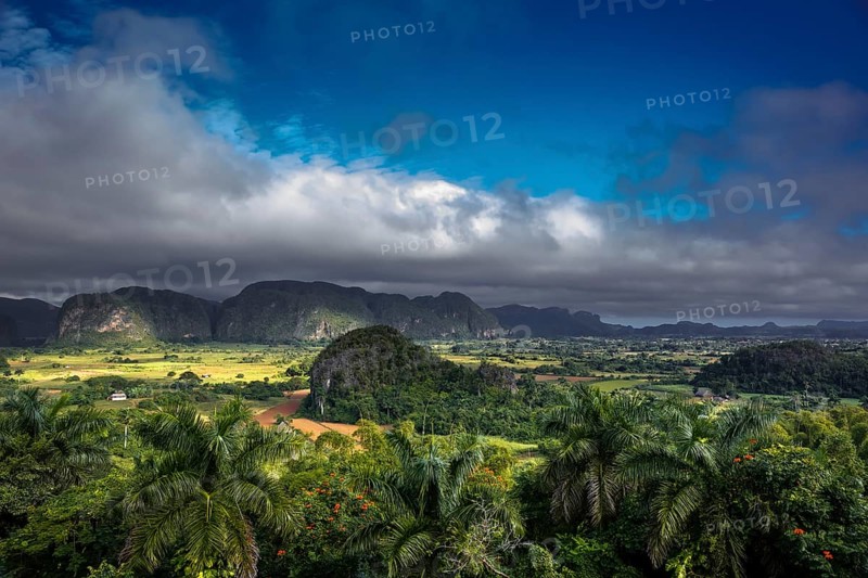 Tobacco fields and the mountains of the Mogotes, Viñales valley with karst mountains, Viñales, Pinar del Río province, Cuba, North America, Cuba, Pinar del Río