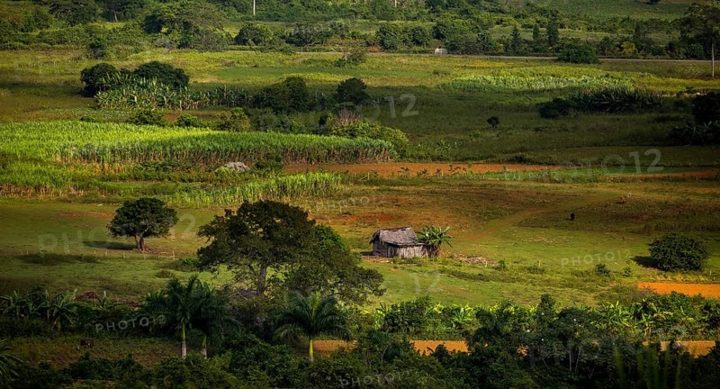Farmhouse, farm cottage, barn for drying tobacco leaves, tobacco fields and the mountains of the Mogotes, Viñales valley with karst mountains, Viñales, Pinar del Río province, Cuba, North America, Cuba, Pinar del Río