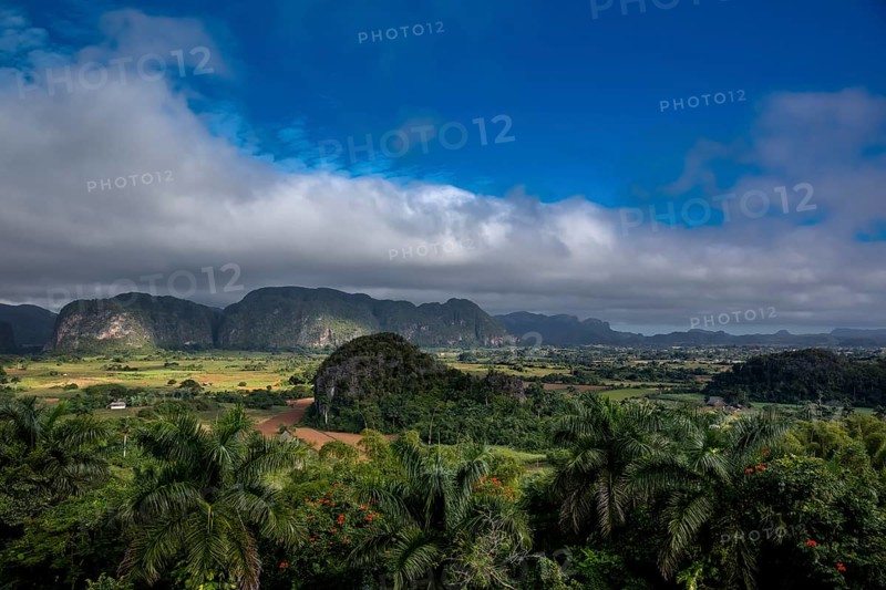 Tobacco fields and the mountains of the Mogotes, Viñales valley with karst mountains, Viñales, Pinar del Río province, Cuba, North America, Cuba, Pinar del Río