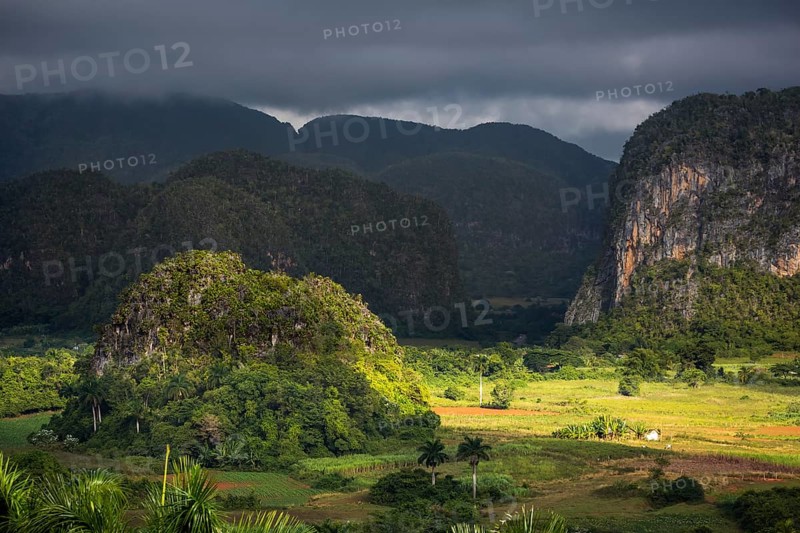 Tobacco fields and the mountains of the Mogotes, Viñales valley with karst mountains, Viñales, Pinar del Río province, Cuba, North America, Cuba, Pinar del Río