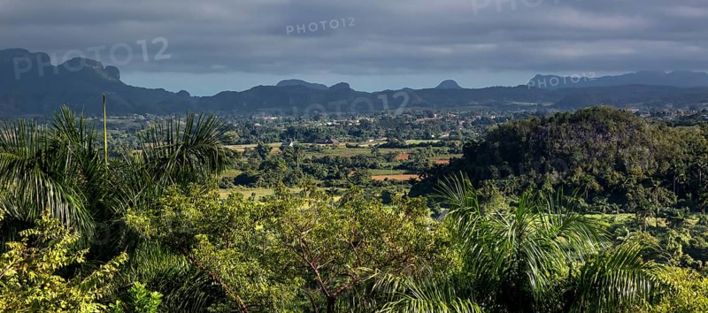Tobacco fields and the mountains of the Mogotes, Viñales valley with karst mountains, Viñales, Pinar del Río province, Cuba, North America, Cuba