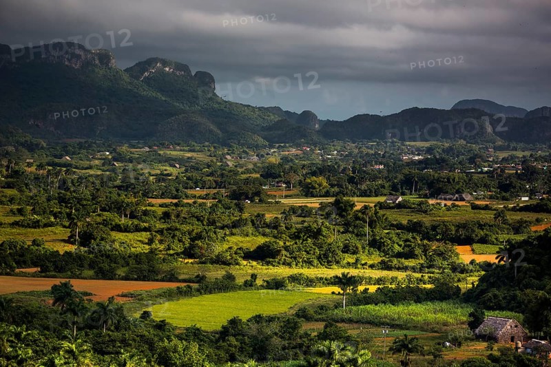 Tobacco fields and the mountains of the Mogotes, Viñales valley with karst mountains, Viñales, Pinar del Río province, Cuba, North America, Cuba, Pinar del Río