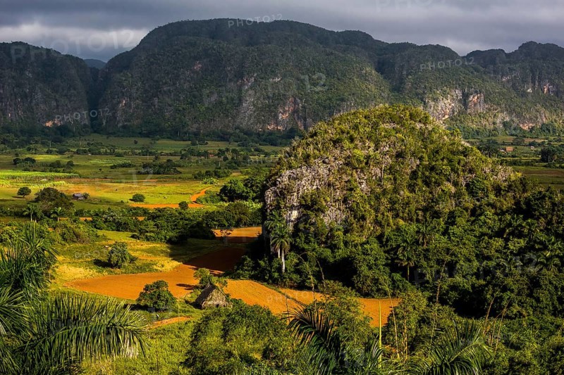 Farmhouse, farm cottage, barn for drying tobacco leaves, tobacco fields and the mountains of the Mogotes, Viñales valley with karst mountains, Viñales, Pinar del Río province, Cuba, North America, Cuba, Pinar del Río