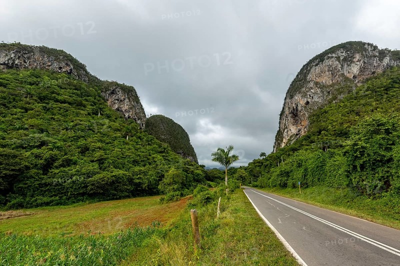 Country road with central reservation in the Vinales Valley, Viñales, Cuba, Pinar del Río, Cuba