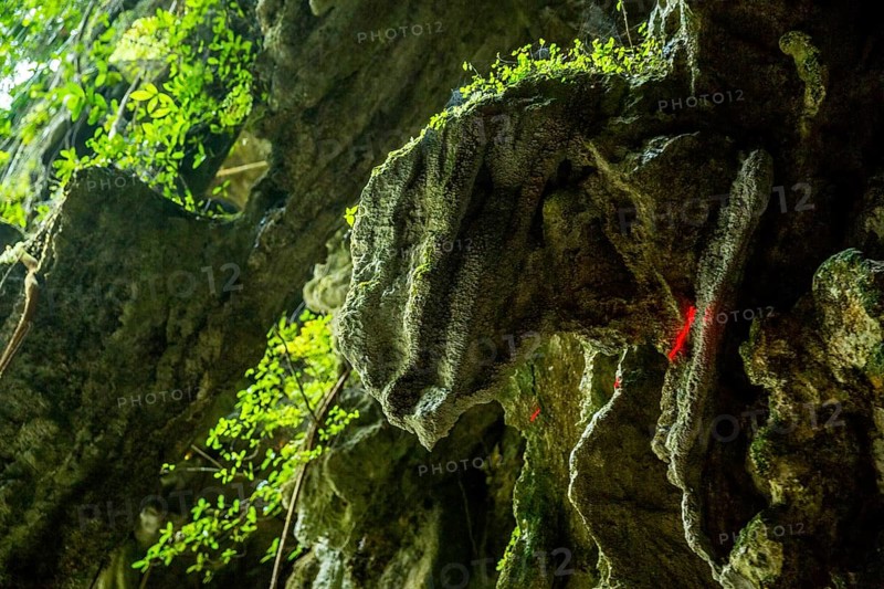 Dinosaur head on the cave walls, caves of the Indios, Cueva del Indio, underground caves with a watercourse river accessible to tourists, Viñales, Cuba, Central America, Cuba, Caribbean