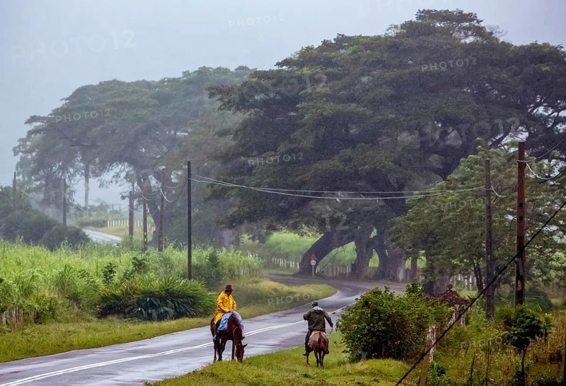 Rider on the rainy country road in Vinales, Viñales, Cuba, Pinar del Río