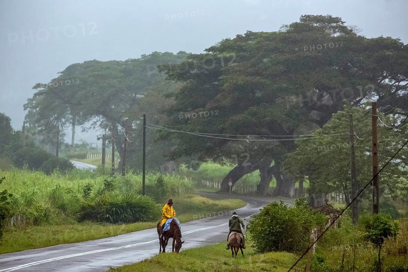 Rider on the rainy country road in Vinales, Viñales, Cuba, Pinar del Río