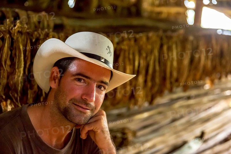 Tobacco farmer, tobacco farmer Luis Manne Alvares Rodrigues on his tobacco farm in the Vinales Valley, Viñales, Cuba, Pinar del Río, Viñales, Pinar del Río