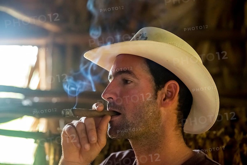 Tobacco farmer, tobacco farmer Luis Manne Alvares Rodrigues smokes a Havana cigar, tobacco farm in the Vinales Valley, Viñales, Cuba, Pinar del Río, Viñales, Pinar del Río