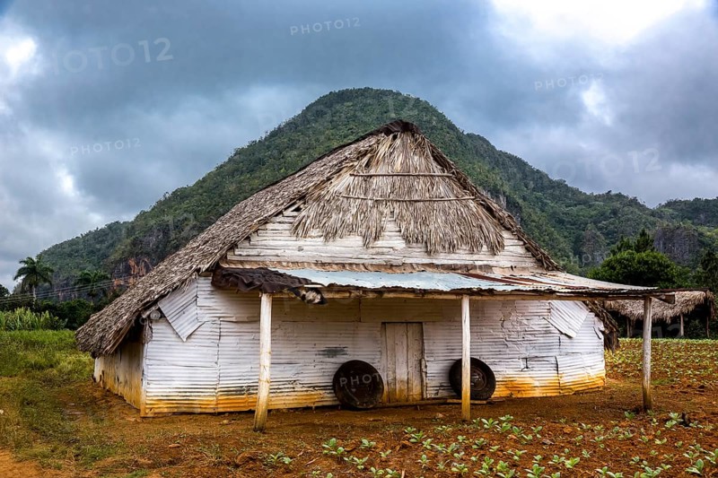 Drying barn for tobacco leaves in the Vinales Valley with hills, Viñales, Cuba, Pinar del Río, Cuba, Viñales, Pinar del Río