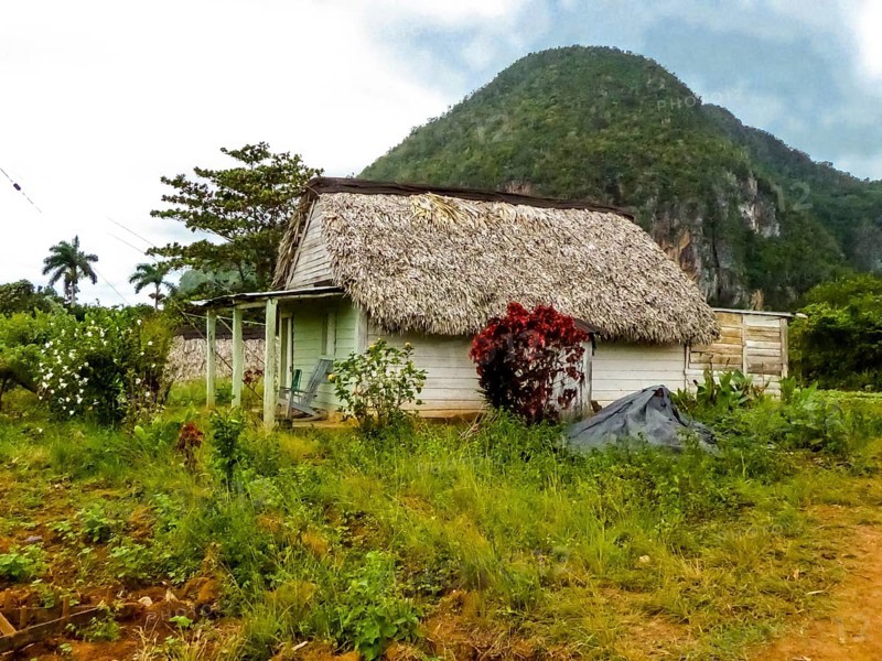 Thatched farmhouse, farm cottage, Cuba