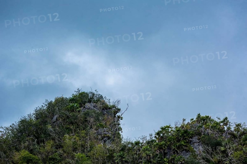 Hilly landscape in the Vinal Valley, Cuba, Pinar del Río, Cuba, Pinar del Río