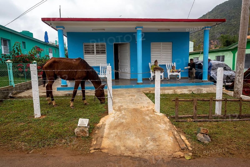 Private house with a horse in the front garden, Viñales, Cuba, Pinar del Río, Cuba, Viñales, Pinar del Río