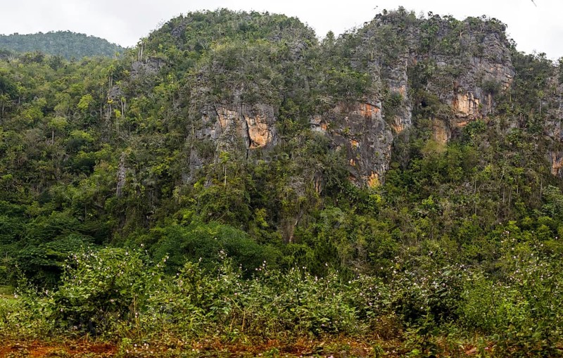Karst mountains in the Vinales Valley, Viñales, Cuba, Pinar del Río, Cuba, Viñales, Pinar del Río